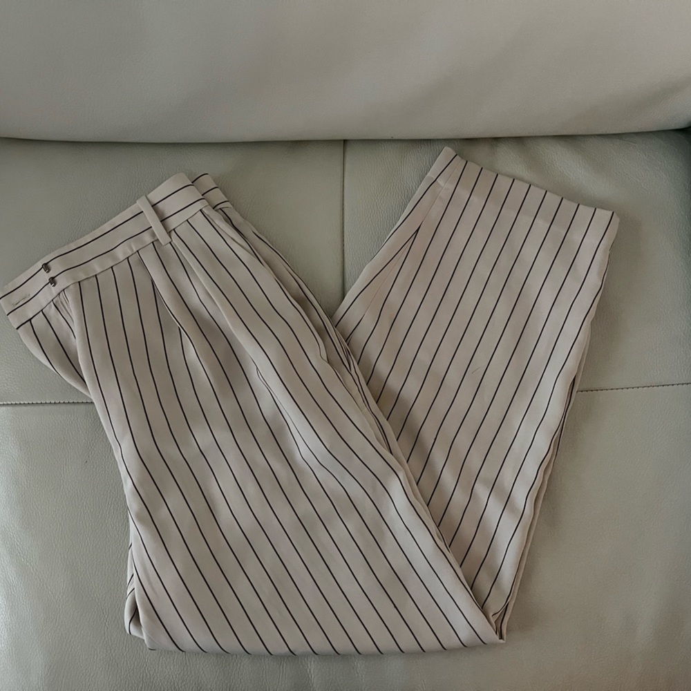 Aritzia Babaton Pants